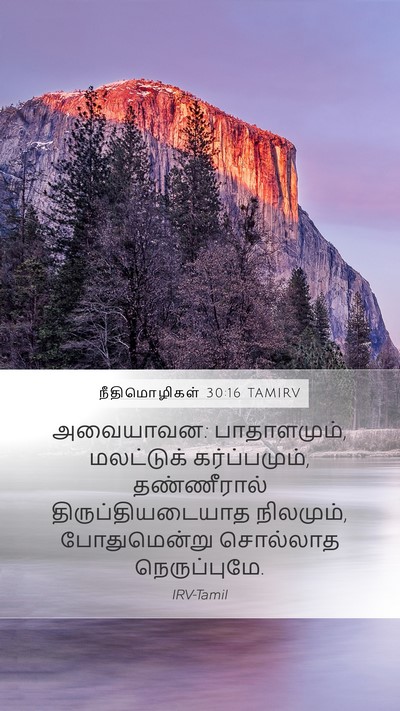 நீதிமொழிகள் 30:16 TAMIRV Bible Verse Image