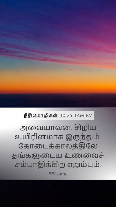 நீதிமொழிகள் 30:25 TAMIRV Bible Verse Image