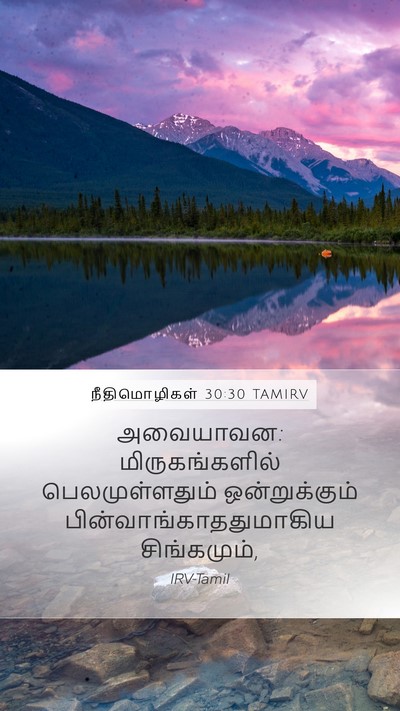 நீதிமொழிகள் 30:30 TAMIRV Bible Verse Image