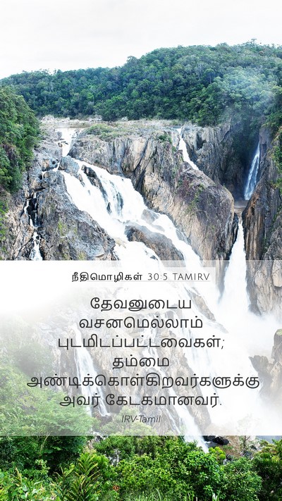 நீதிமொழிகள் 30:5 TAMIRV Bible Verse Image