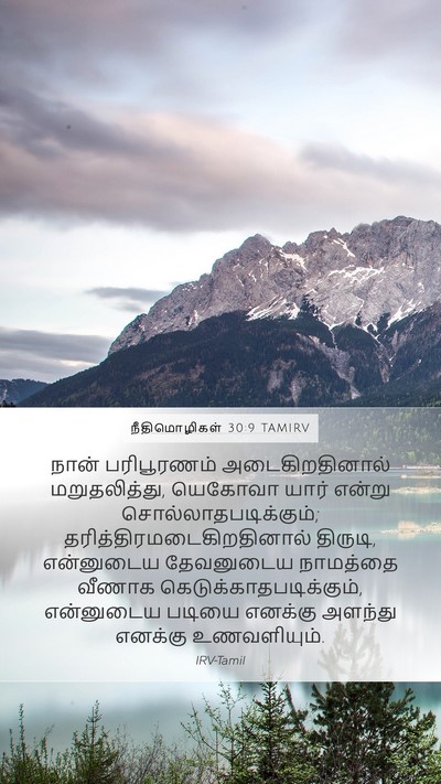 நீதிமொழிகள் 30:9 TAMIRV Bible Verse Image