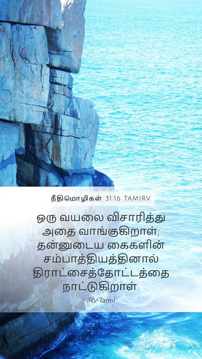 நீதிமொழிகள் 31:16 TAMIRV Bible Verse Image