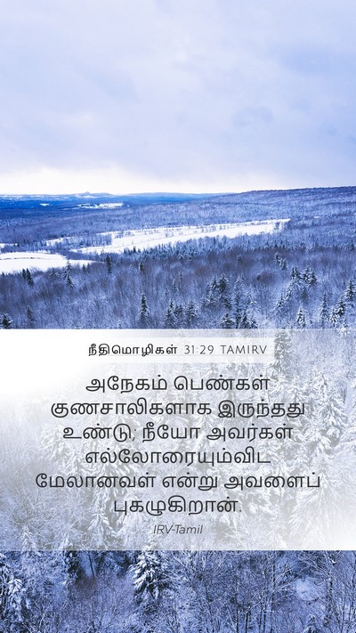 நீதிமொழிகள் 31:29 TAMIRV Bible Verse Image