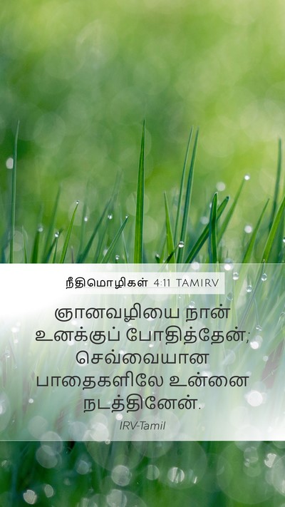 நீதிமொழிகள் 4:11 TAMIRV Bible Verse Image
