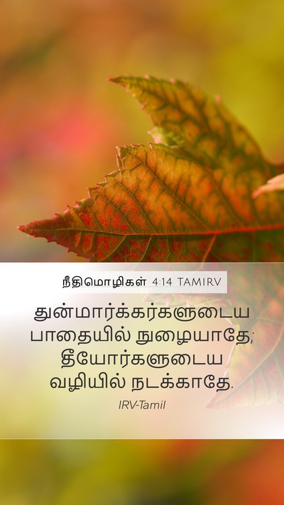 நீதிமொழிகள் 4:14 TAMIRV Bible Verse Image