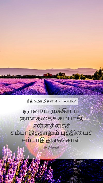 நீதிமொழிகள் 4:7 TAMIRV Mobile Phone Wallpaper - ஞானமே முக்கியம், - Mobile Bible Verse Wallpaper