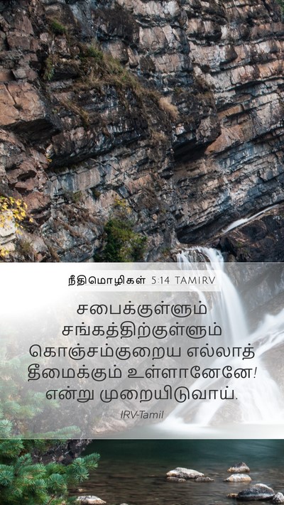 நீதிமொழிகள் 5:14 TAMIRV Mobile Phone Wallpaper - சபைக்குள்ளும் - Mobile Bible Verse Wallpaper