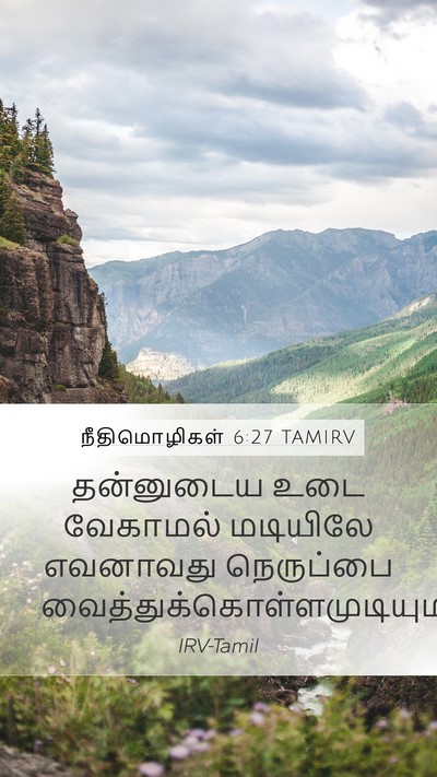 நீதிமொழிகள் 6:27 TAMIRV Bible Verse Image