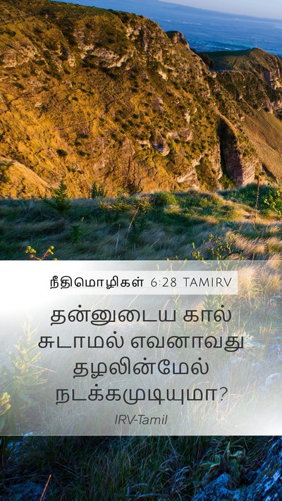 நீதிமொழிகள் 6:28 TAMIRV Mobile Phone Wallpaper - தன்னுடைய கால் - Mobile Bible Verse Wallpaper