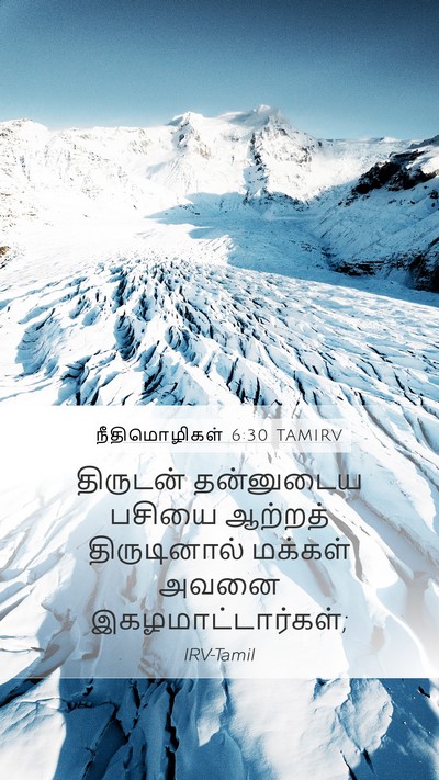 நீதிமொழிகள் 6:30 TAMIRV Bible Verse Image