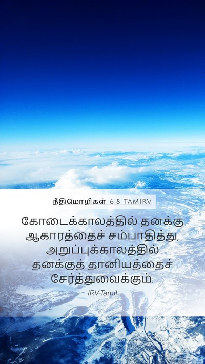 நீதிமொழிகள் 6:8 TAMIRV Bible Verse Image
