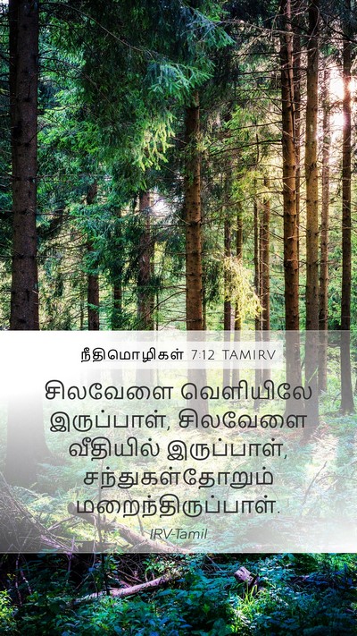 நீதிமொழிகள் 7:12 TAMIRV Bible Verse Image