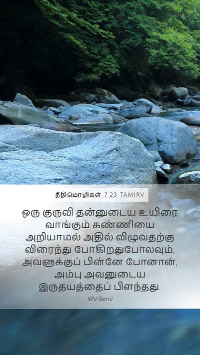 நீதிமொழிகள் 7:23 TAMIRV Bible Verse Image