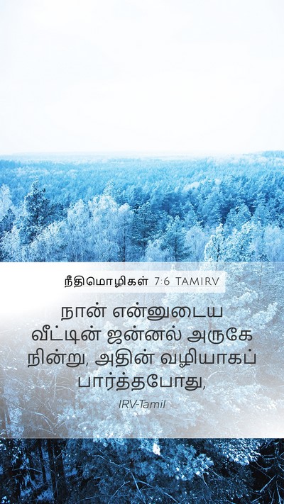 நீதிமொழிகள் 7:6 TAMIRV Mobile Phone Wallpaper - நான் என்னுடைய - Mobile Bible Verse Wallpaper
