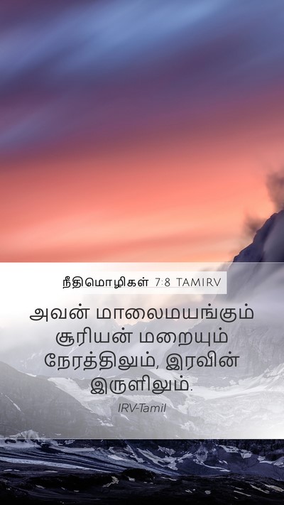 நீதிமொழிகள் 7:8 TAMIRV Mobile Phone Wallpaper - அவன் மாலைமயங்கும் - Mobile Bible Verse Wallpaper