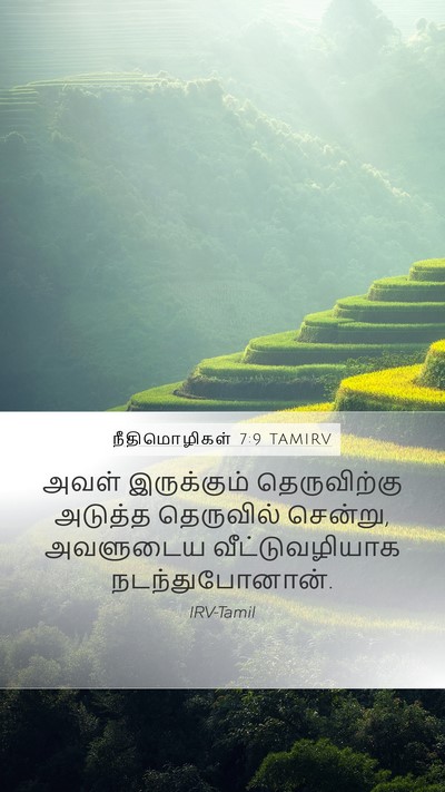 நீதிமொழிகள் 7:9 TAMIRV Mobile Phone Wallpaper - அவள் இருக்கும் - Mobile Bible Verse Wallpaper