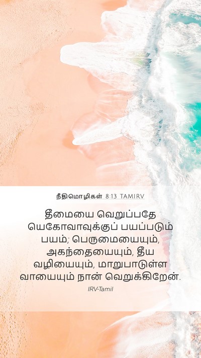 நீதிமொழிகள் 8:13 TAMIRV Bible Verse Image