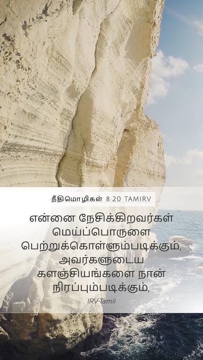 நீதிமொழிகள் 8:20 TAMIRV Bible Verse Image