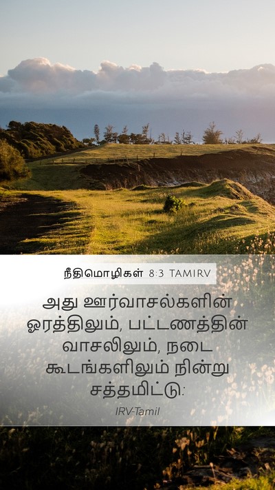 நீதிமொழிகள் 8:3 TAMIRV Mobile Phone Wallpaper - அது ஊர்வாசல்களின் - Mobile Bible Verse Wallpaper