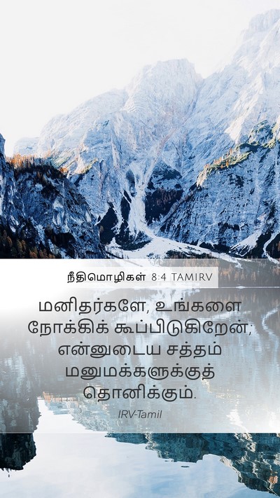 நீதிமொழிகள் 8:4 TAMIRV Bible Verse Image