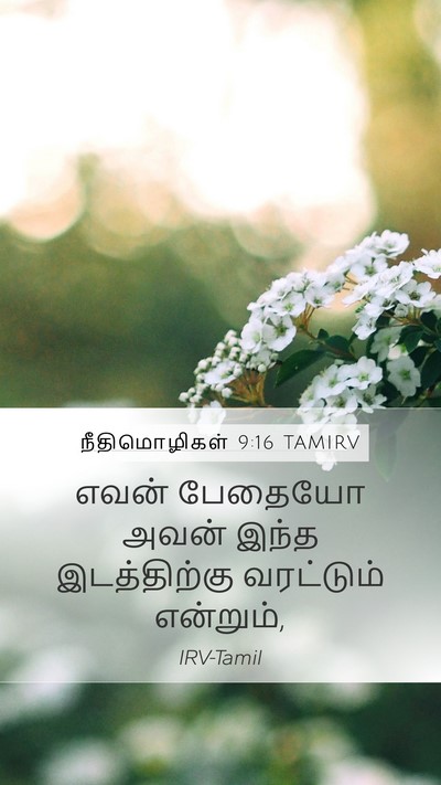 நீதிமொழிகள் 9:16 TAMIRV Bible Verse Image