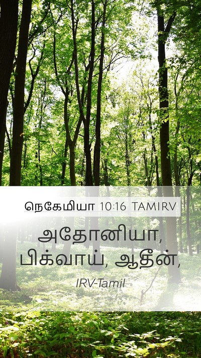 நெகேமியா 10:16 TAMIRV Mobile Phone Wallpaper - அதோனியா, பிக்வாய், - Mobile Bible Verse Wallpaper