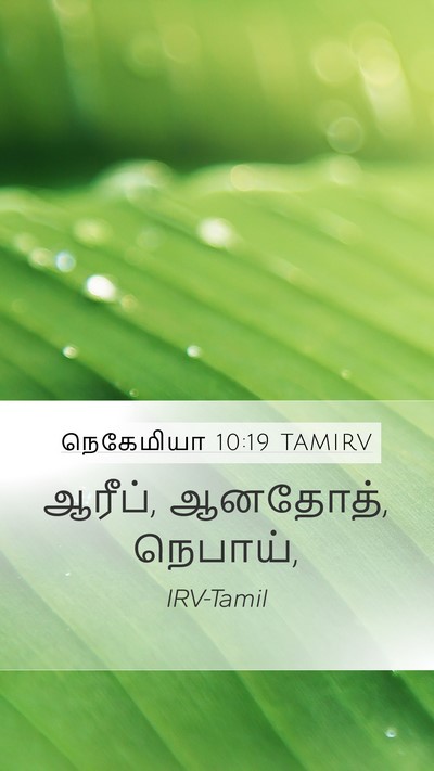 நெகேமியா 10:19 TAMIRV Mobile Phone Wallpaper - ஆரீப், ஆனதோத், - Mobile Bible Verse Wallpaper