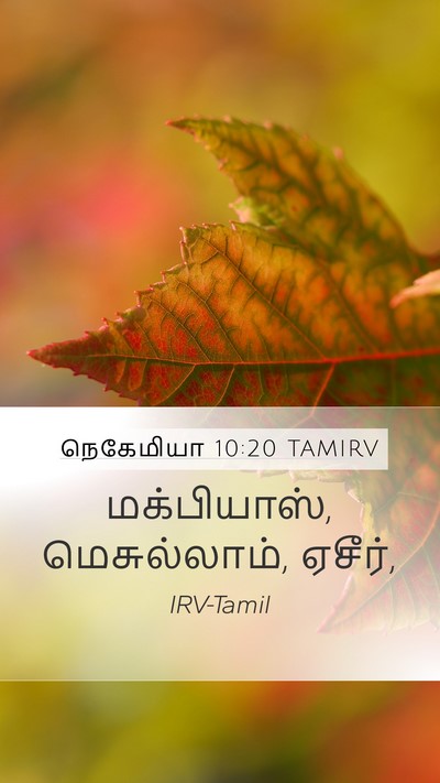 நெகேமியா 10:20 TAMIRV Bible Verse Image