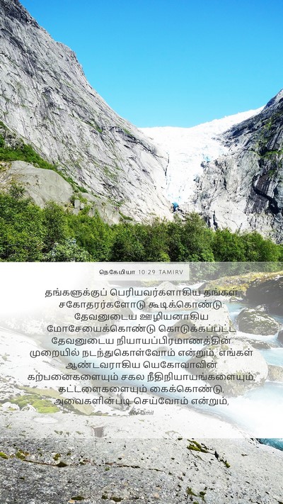 நெகேமியா 10:29 TAMIRV Bible Verse Image