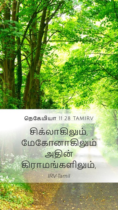 நெகேமியா 11:28 TAMIRV Mobile Phone Wallpaper - சிக்லாகிலும், - Mobile Bible Verse Wallpaper