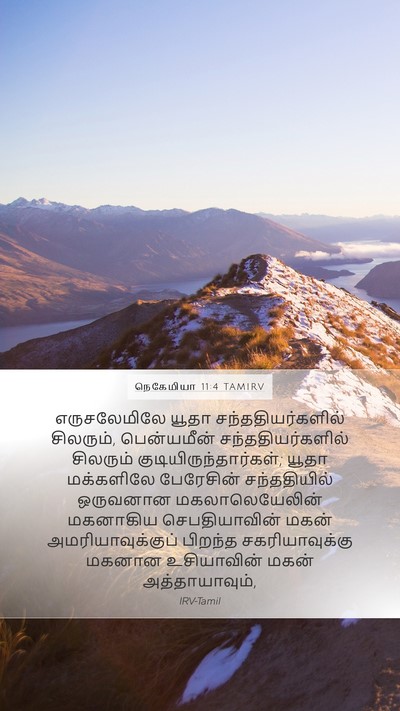 நெகேமியா 11:4 TAMIRV Bible Verse Image