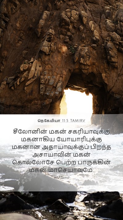 நெகேமியா 11:5 TAMIRV Bible Verse Image