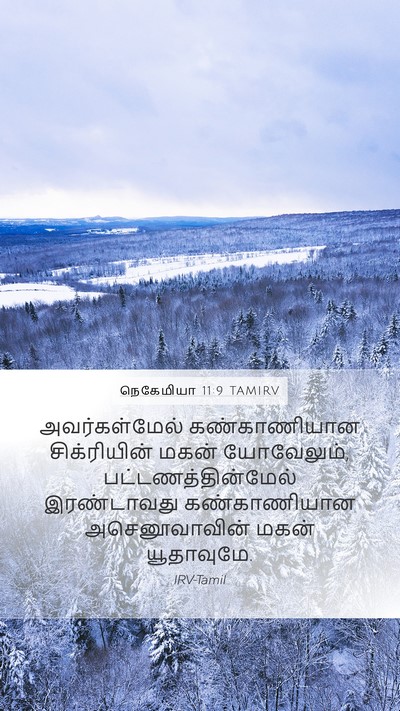 நெகேமியா 11:9 TAMIRV Bible Verse Image