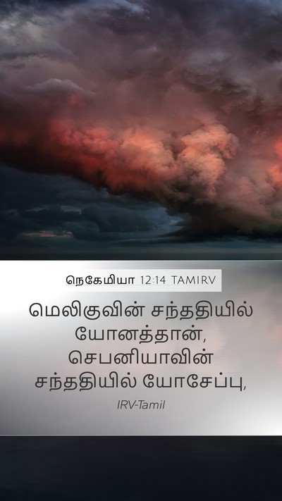 நெகேமியா 12:14 TAMIRV Mobile Phone Wallpaper - மெலிகுவின் - Mobile Bible Verse Wallpaper