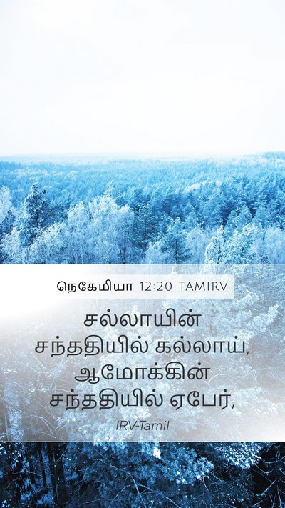நெகேமியா 12:20 TAMIRV Mobile Phone Wallpaper - சல்லாயின் - Mobile Bible Verse Wallpaper
