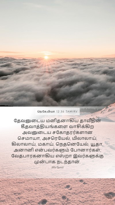 நெகேமியா 12:36 TAMIRV Mobile Phone Wallpaper - தேவனுடைய - Mobile Bible Verse Wallpaper