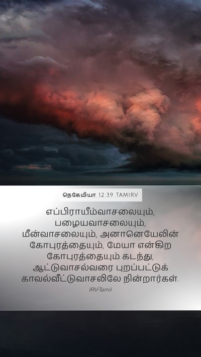 நெகேமியா 12:39 TAMIRV Bible Verse Image