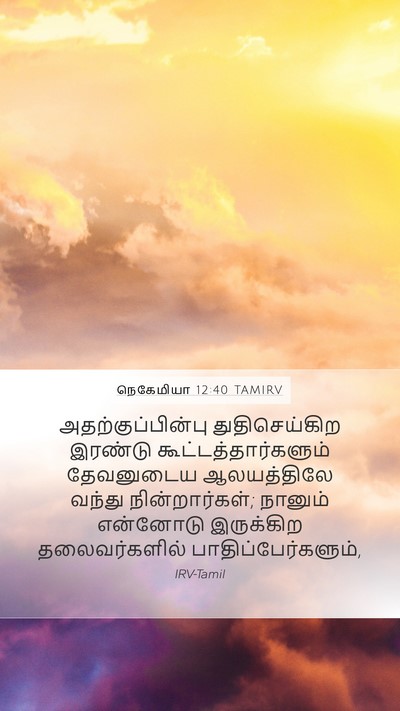 நெகேமியா 12:40 TAMIRV Mobile Phone Wallpaper - அதற்குப்பின்பு - Mobile Bible Verse Wallpaper