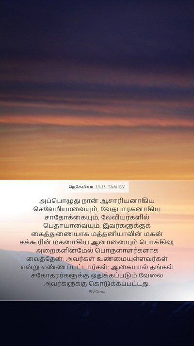 நெகேமியா 13:13 TAMIRV Bible Verse Image