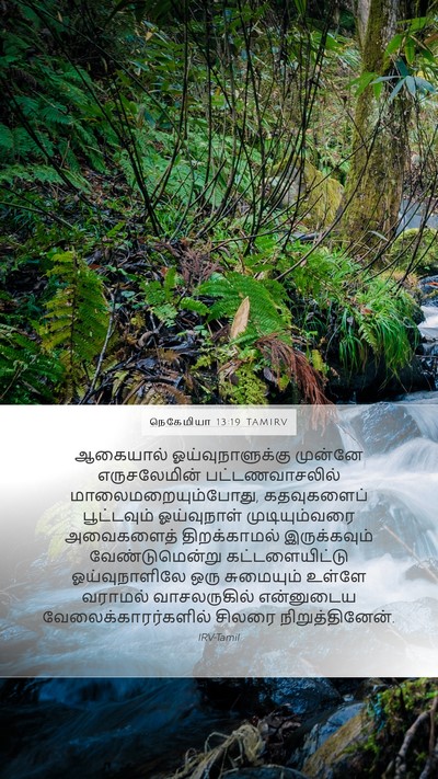 நெகேமியா 13:19 TAMIRV Bible Verse Image