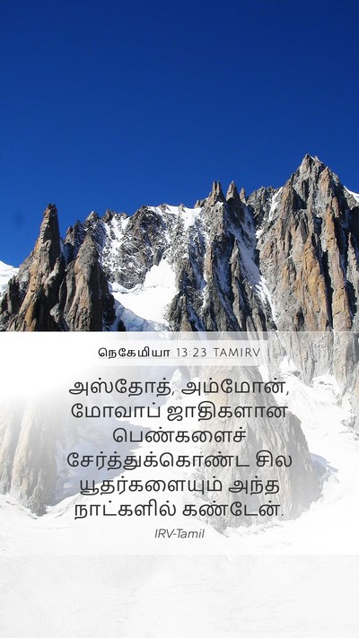 நெகேமியா 13:23 TAMIRV Bible Verse Image