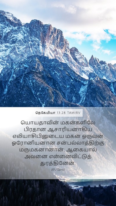 நெகேமியா 13:28 TAMIRV Bible Verse Image