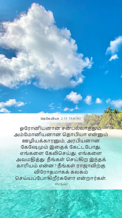 நெகேமியா 2:19 TAMIRV Bible Verse Image