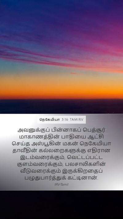 நெகேமியா 3:16 TAMIRV Bible Verse Image