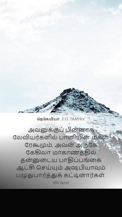 நெகேமியா 3:17 TAMIRV Bible Verse Image