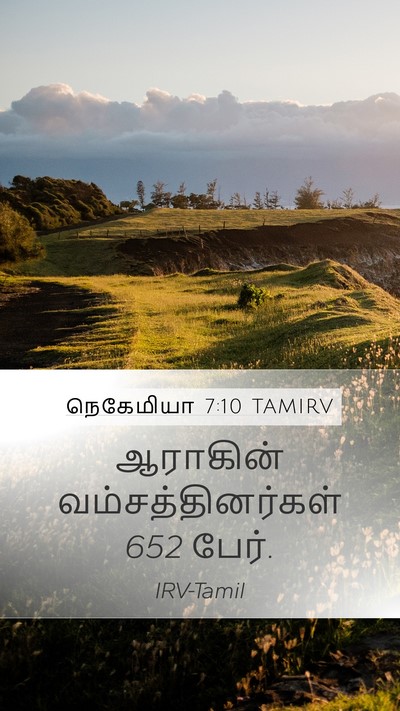 நெகேமியா 7:10 TAMIRV Mobile Phone Wallpaper - ஆராகின் - Mobile Bible Verse Wallpaper