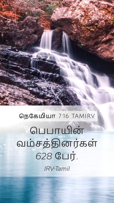 நெகேமியா 7:16 TAMIRV Mobile Phone Wallpaper - பெபாயின் - Mobile Bible Verse Wallpaper