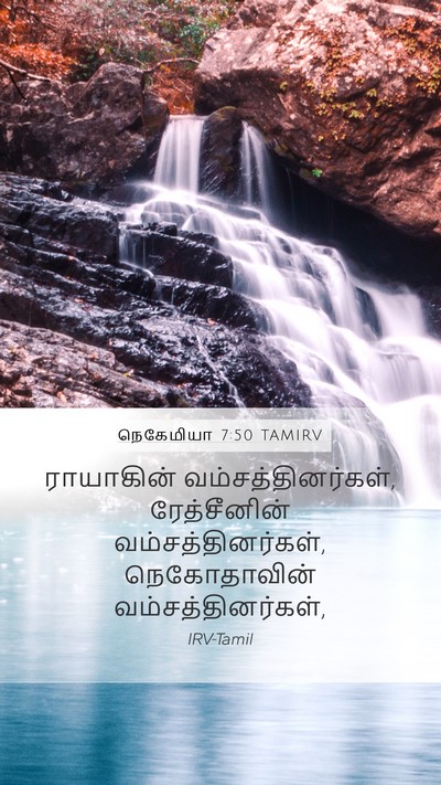 நெகேமியா 7:50 TAMIRV Mobile Phone Wallpaper - ராயாகின் - Mobile Bible Verse Wallpaper
