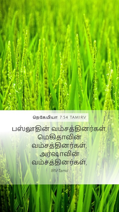 நெகேமியா 7:54 TAMIRV Mobile Phone Wallpaper - பஸ்லூதின் - Mobile Bible Verse Wallpaper