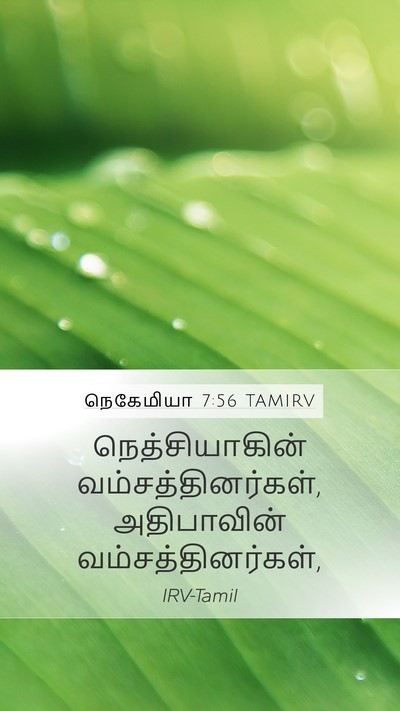 நெகேமியா 7:56 TAMIRV Mobile Phone Wallpaper - நெத்சியாகின் - Mobile Bible Verse Wallpaper